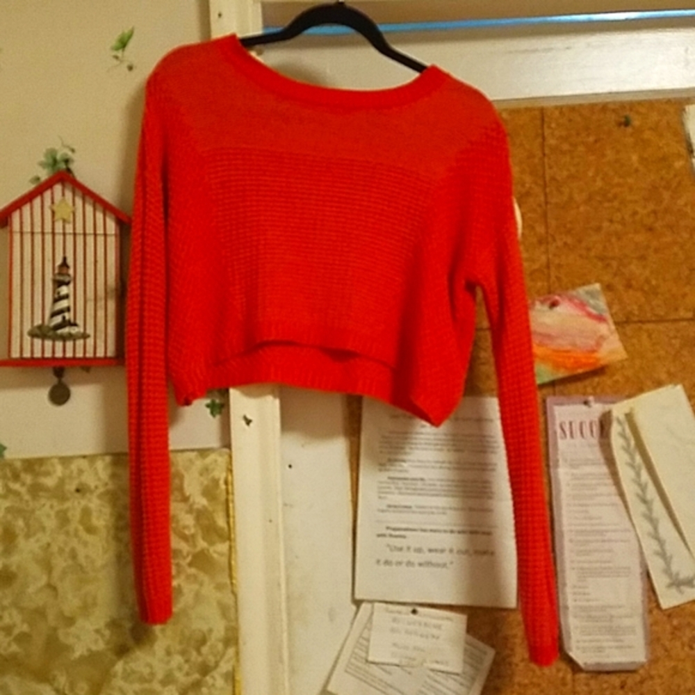 Silence +Noise Orange Cropped Sweater,  Women's Size: Small